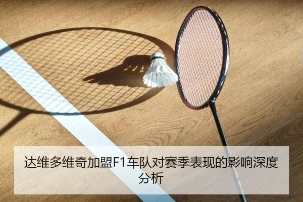 达维多维奇加盟F1车队对赛季表现的影响深度分析