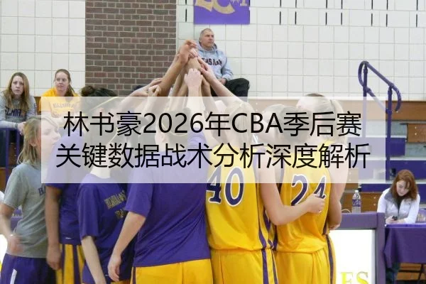 林书豪2026年CBA季后赛关键数据战术分析深度解析